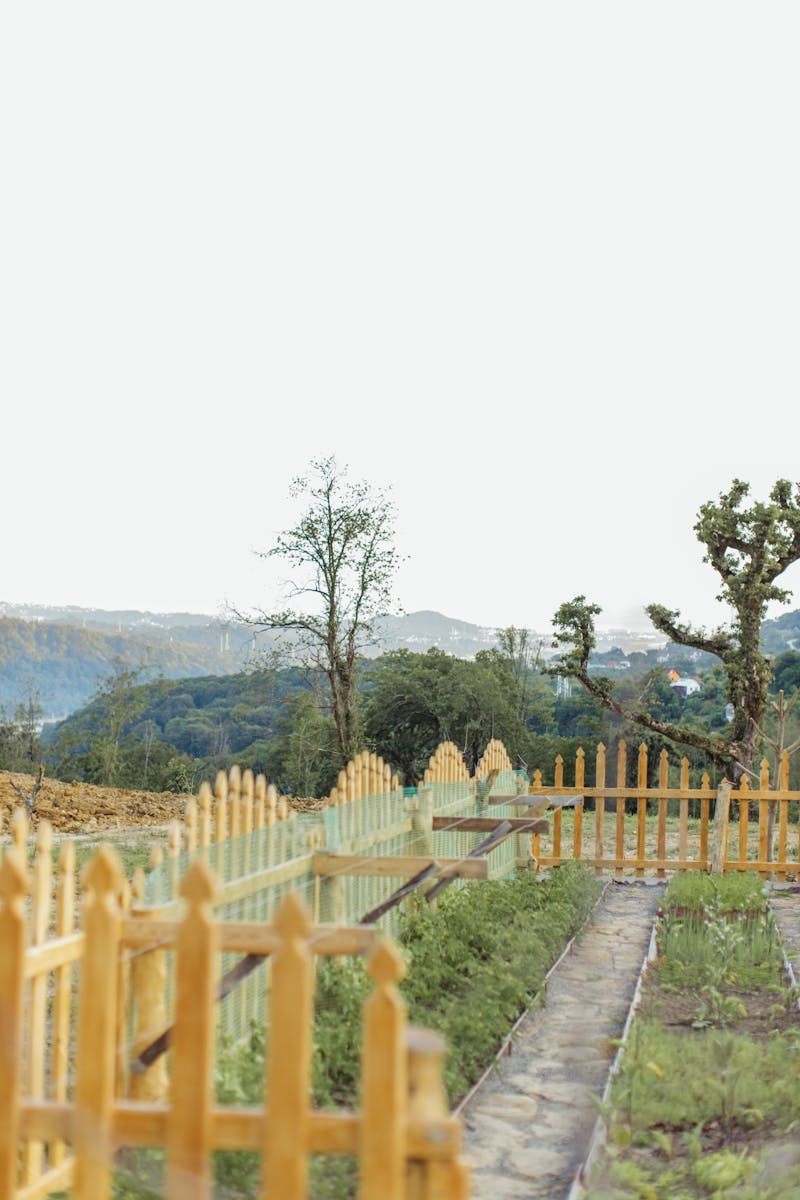 Fencing services in San Antonio